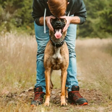 КРОССОВКИ HAIX CONNEXIS GO GTX MID black-fire