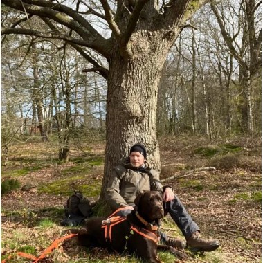 БОТИНКИ HAIX SCOUT 2.0, brown