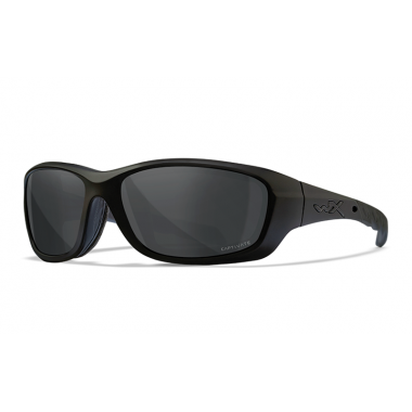 Очки защитные Wiley X WX Gravity (Frame: Matte Black, Lens: Polarized - Grey)