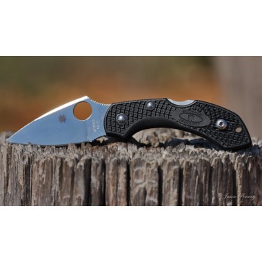 Нож складной SPYDERCO Dragonfly 2 Black