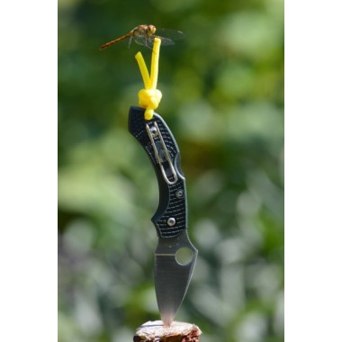 Нож складной SPYDERCO Dragonfly 2 Black