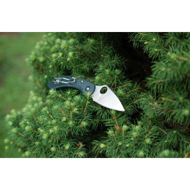 Нож складной SPYDERCO Dragonfly 2 K390 Cobalt