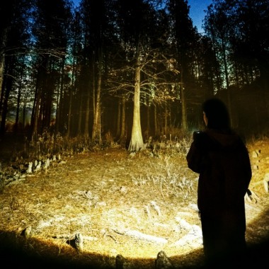 Фонарь-прожектор NATUREHIKE, 1200lm, 5200mAh, зеленый