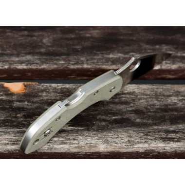 Нож складной SPYDERCO Dragonfly G-10 Foliage Green
